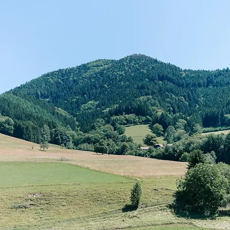 Lejlighed Moderne 2 Zi.fewo Blackforest Art Naehe Freiburg Simonswald