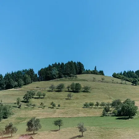 Moderne 2 Zi.fewo Blackforest Art Naehe Freiburg Appartement