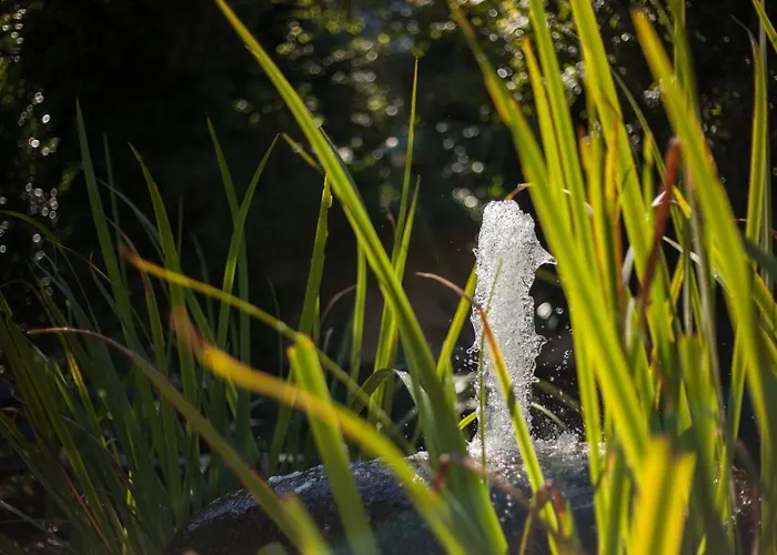 Moderne 2 Zi.fewo Blackforest Art Naehe Freiburg Simonswald