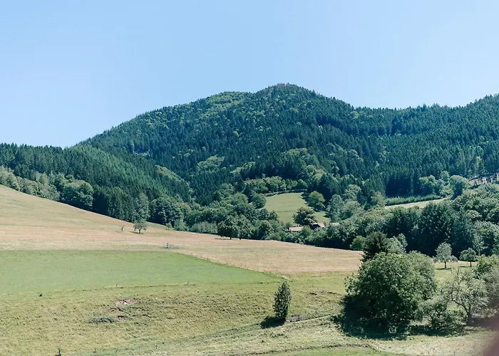 Appartement Moderne 2 Zi.fewo Blackforest Art Naehe Freiburg Simonswald